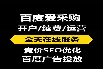 百度推广成功案例分析